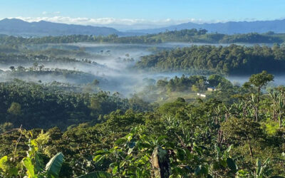 Agua Fresca brings mountains of Nicaragua to NOLA