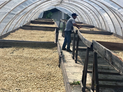 DRYING BEDS