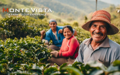 Monte Vista Coffee Connects Honduras to New Orleans